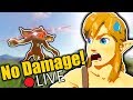 This Stream ENDS When I Take Damage! - Breath of the Wild