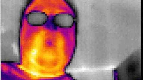 FLIR Lepton, Raspberry Pi (battery powered), X-11 forwarding, XVIDCAP