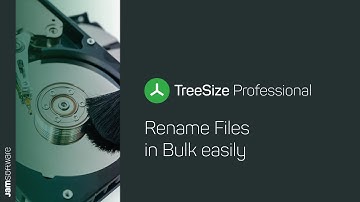 How To Rename Files in Bulk - TreeSize | JAM Software