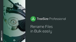 How To Rename Files in Bulk - TreeSize | JAM Software screenshot 4