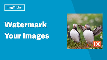 Watermarking Images with imgix