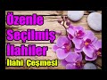  zenle seilmi lahiler lahi emesi dinleaban ayna zel lahiler3 aylara zel lahiler 