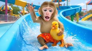 Monkey Baby Shark Swim Through a Magical Waterfall 🌊✨| Nursery Rhymes &amp; Kids Songs |Bobby Kids Songs