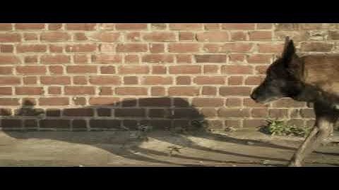 SKRILLEX - Bangarang feat. Sirah [Official Music Video].