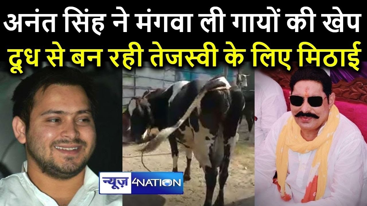 Bihar Election : Tejashwi के लिए Anant Singh बनवा रहे हैं गाय के दूध से मिठाइयाँ |News4nation