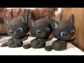 Warrior Cats Series 2 Minis Review