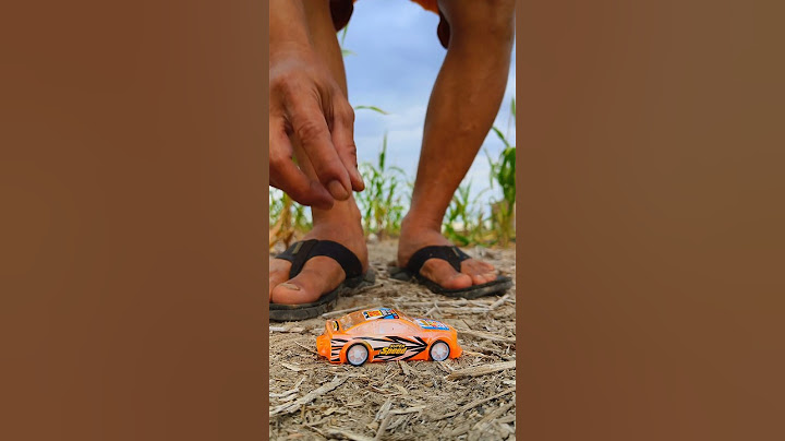 Sharing colorful candy snacks with ants #shorts #antseating #candy