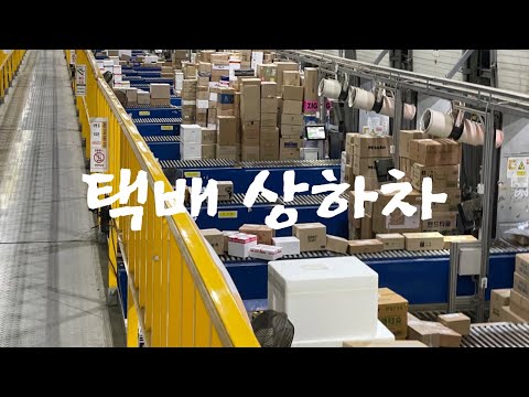 신탄진 Cj대한통운 택배 상하차 솔직 리뷰 허브 