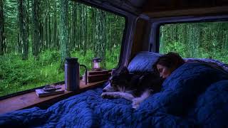 Fall Asleep Fast in a Cozy Van 🚐 Rain on Windows &amp; Forest Ambience 🌲🌧️