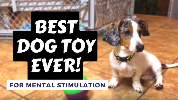 Starmark® Bob-a-Lot? Treat Dispensing Dog Toy Small 