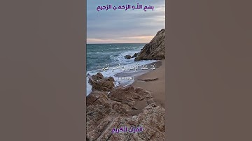 🌺القرآن الكريم 🌺سورة التين ●