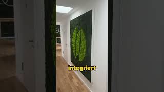 Mehrere Probleme? Eine Lösung! Textile Akustik-Spanndecke erklärt #akustik #renovierung #interior