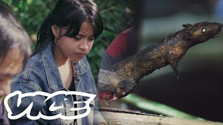 Eating Snakes, Rats, and Dogs in Minahasa: Indonesian Bushmeat