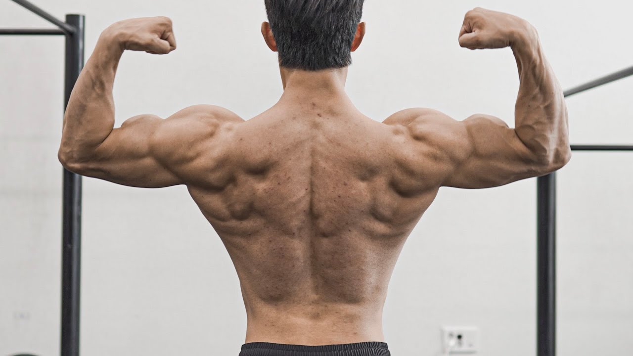 이런 등을 갖기 위한 가장 기초적인 방법ㅣ인버티드 로우