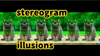 stereogram illusion with cats, magic eye pictures,parallel view