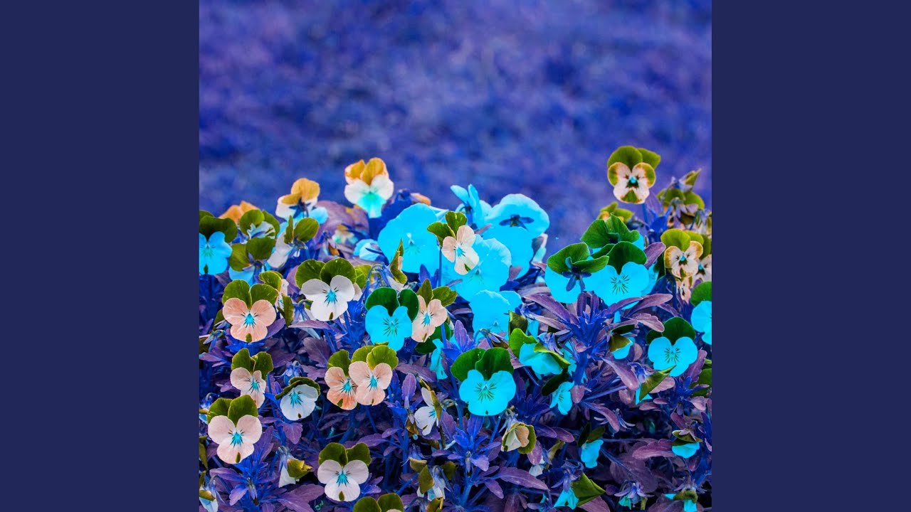 Elegant Backdrops for Comforting Tales