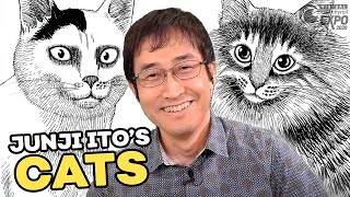 Junji Ito Tells Cat Stories | Interview