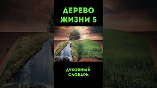 Дерево Жизни-5 #Деревожизни #Мудрость #Исполнившеесяжелание #Плодправедника #Чистописание #Кротость