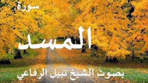 سورة المسد بصوت نبيل الرفاعي