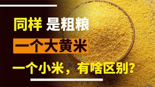 都是粗糧一種叫大黃米一種卻叫小米它們有什么區別