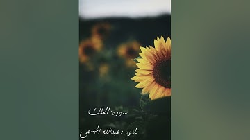 ما تيسر من سورة الملك | عبدالله الجسمي