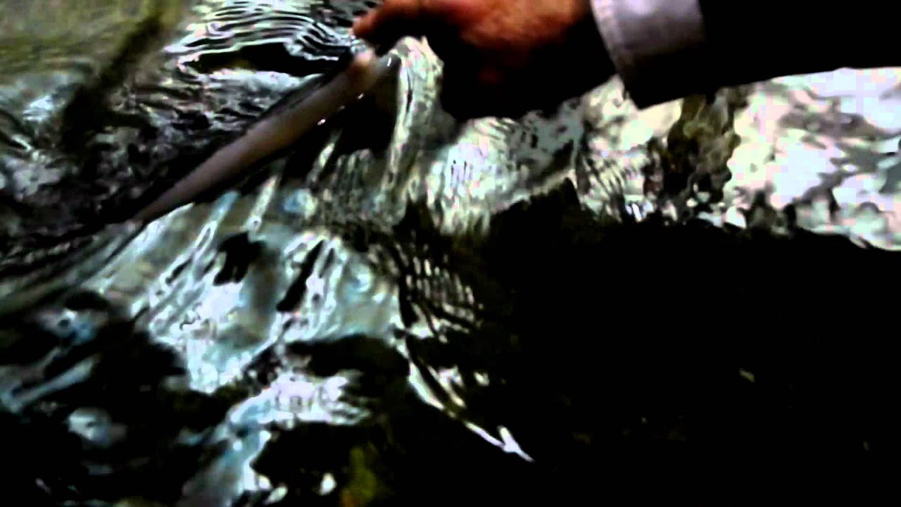 Nausicaa à Boulogne-sur-Mer : le bassin tactile 2