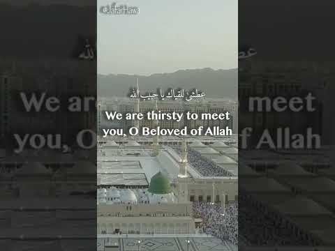    إننا نحب محمدا