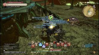 FINAL FANTASY XIV SHADOWBRINGERS MSQ: The Wisdom of Allag