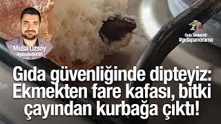 Ekmekten fare kafası, bitki çayından kurbağa çıktı!