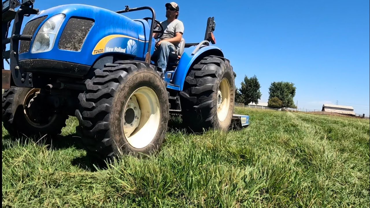 Why Mowing Pasture Weeds is Both a Good and Bad Idea