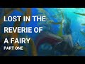 Lost in the Reverie of a Fairy - ASMR Story - EnchantedAdventuresASMR