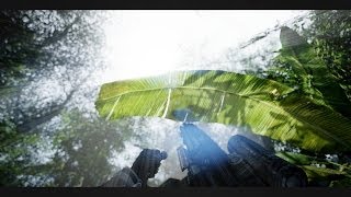Crysis | UHD 4K - 3840x2160 | Jungle War | GTX 780 WINDFORCE & i74770k@4ghz