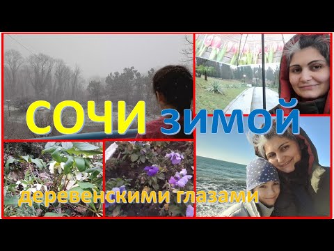 Природа Сочи зимой. Дальше от городской суеты. Красота деревенскими глазами.