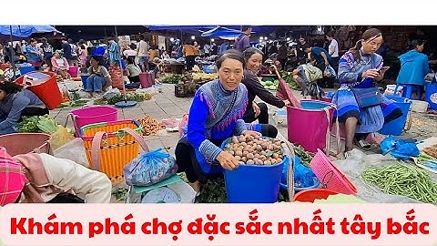 Khám Phá Chợ Bắc Hà – Phiên Chợ Vùng Cao Đặc Sắc Nhất Tây Bắc/ @chithanhtv1