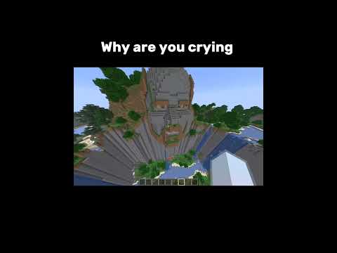 Why bro, why are you crying 😢 #minecraft #javaisawesome #gaming #minecraftmadness #minecraftlife