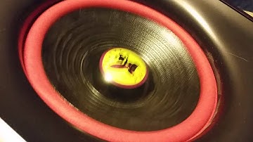 The infamous FUNKY PUP!