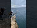 【神映像】巨大魚との死闘　２４キロ　クエ　アラ釣り