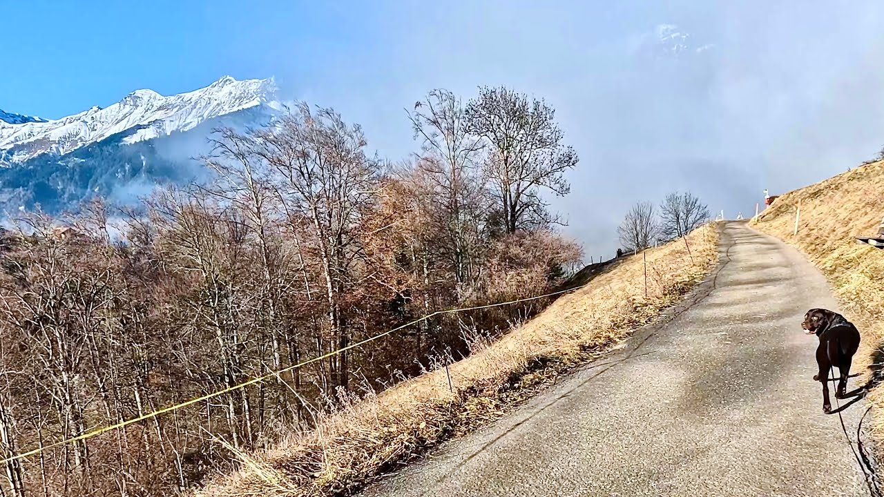 From Sunny Mountain Meadows Into Fog Valley