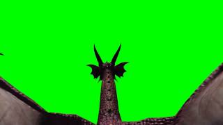flying Dragon - green screen effects 15 - free use