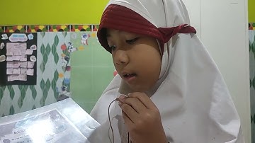 Alesha 3D Assessment PAI September 