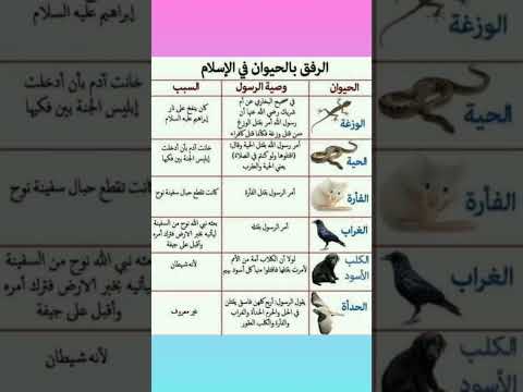 حيوانات يحل للمسلم قتلها