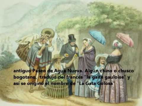 cancion gata golosa cancion gata golosa