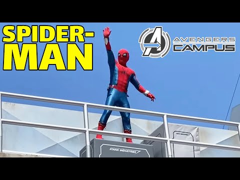 Spider-Man Soars Through The Skies Above Avengers Campus