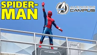 SpiderMan Soars Through The Skies Above Avengers Campus