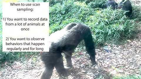 Introduction to Scan Sampling