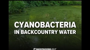 Cyanobacteria and Cyanotoxins in Backcountry Water Sources