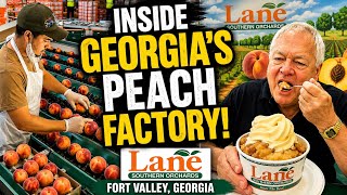 Lane’s Southern Orchards 🍑 Inside Georgia’s Famous Peach Factory. A SWEET TREAT‼️