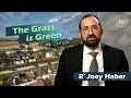 The grass is green in beeri  rabbi joey haber