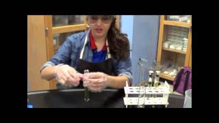 Carbon Cycle and Respiration Harmony Public School for T-STEM Educators 2013-2014