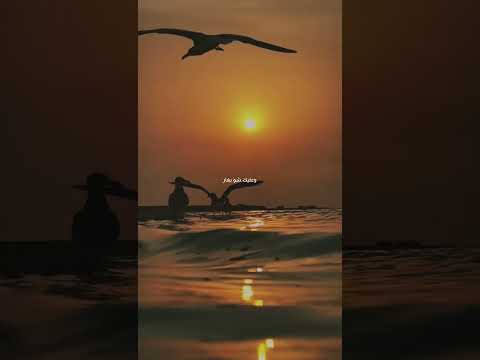 كنت مفكر فضل شاكر